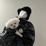 [세븐틴] <b>완전</b> 귀여워....