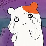 <b>시험</b> 2문제 틀렸는데 2등급 문열듯…. 우울하다
