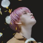 [NCT칠프] <b>콧대</b> 도랏냐