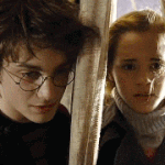 [댓글부탁해] 해리포터 컴백한대!!!!