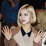 제발 도와줘 강아지 키우고싶은데..