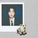 [방탄소년단] 석지니 지q 표지에 <b>어묵</b>이 있네