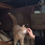 국립대 못가서 너무 <b>죄송</b>하다...