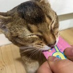 일부러 힘든 애들 글에 <b>비추</b> 박는 놈