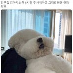 우리집 지금 새벽인데 <b>초상집</b> 됨..