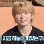 [세븐틴] 진짜 천고마비 한번더 가야죠