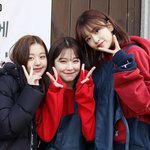 [모두드루와] 옵<b>더레</b> 막내 삼인방