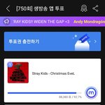 [스키즈] <b>음중</b> 뮤빗도 있어