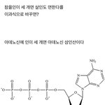 [댓글부탁해] <b>entp</b>들아 들어와봐 궁금한거 있어