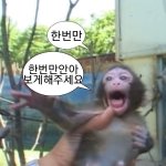 [NCT칠프] 맠깅이 <b>영어</b> 왤케 기여워