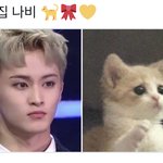 [NCT칠프] <b>마키</b> 키우고싶다