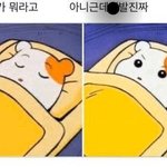 이상형 하얀사람 vs 까만사람 추반해봐