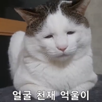 [댓글부탁해] 고삼들아ㅠㅠ 담임쌤한테 연락 해봐 말아???ㅠㅠ