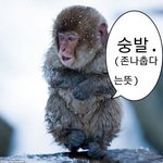 [드루와] 인강패스 언제쯤 삼???