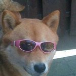 [댓글부탁해] 나에게 <b>XOXO</b>는 엑소인데...