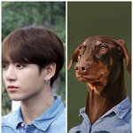 방탄 정국과 <b>그</b>의 <b>강아지</b>