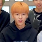 [NCT드림] 나토끼<b>vs</b>나냥이 추반해보자