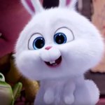 <b>스노우볼</b> 닮은 연예인들 많은듯