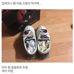 어린시절 신지 못한 새 운동화