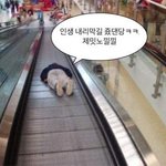 [ㅈㄱㄴ] 나만 웃을<b>때</b> <b>눈</b> 하회탈 소리 들음?