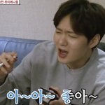 [BTOB] 애들아 내가 건반 <b>위</b>의 하이에나 보다가 짤을 주웠어