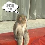 [댓글부탁해] 국가 보훈 대상자 <b>전형</b> 좋은거야???
