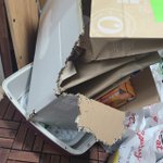 [개깊은빡침] 유료 방문펫시터가 우리 고양이를 하루 넘게 창고에...