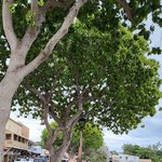 [군대] 김태형 요즘 왜 <b>말라</b>보이냐ㅠㅠ