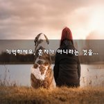 [너가봤으면] 기억하세요, 혼자가 아니라는 것을