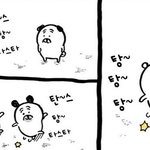 <b>농담</b>곰 이짤 너무 귀엽다