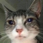 예비고 <b>선행</b> 어칼까 ㅠㅠㅠㅠㅠ!