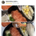 [댓글부탁해] 얘들아 이 <b>배민</b> 리뷰 ㅈㄴ웃겨 ㅋㅋㅋㅋ