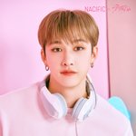 [스키즈] 네시픽 <b>찬이</b>