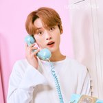 [스키즈] <b>네</b>시픽 리노