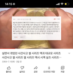 네이트판 <b>썰</b> 몰래 액괴에 불펌한 <b>예</b>콩이 근황