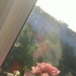 [드루와] <b>띠발</b> 백신 맞기 싫다