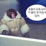 [댓글부탁해] <b>패딩</b> 이쁜 곳 추천 좀