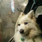 [NCT칠프] <b>조지</b> 안 산 사람 지금 후회중