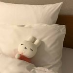 [댓글부탁해] 이글립스 파우더 개기름 <b>안낌</b>??