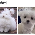 [엔하이픈] 안무영상 <b>성훈이</b> 후기