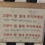 포카 팔말 어떡해