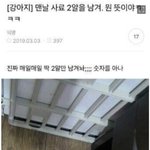 강아지가 매일 사료를 2알 남겨놔