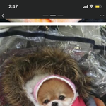 남친이 여친 잇는거 <b>sns</b>에 티내기 싫대