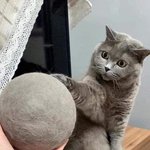 [댓글부탁해] 백신 그냥 <b>단순</b>함..ㅋㅋ