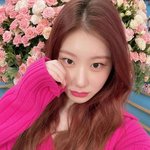 [모두드루와] <b>채령</b>은 왜 그렇게 얼굴로 까이는 거야?