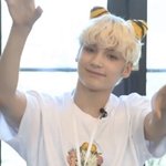 [내공 100] 제가 아는 옹심이가 호랑이로 <b>둔갑</b>한 거 같아요ㅠㅠ