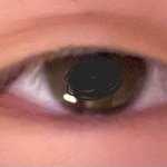 [댓글부탁해] 무쌍 쌍수