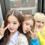 내 <b>사랑들</b>이 다 모여있다