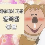 [댓글부탁해] 애들아ㅜㅜㅜ나 기획사 연습생인제