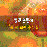 [50대] 혈액 <b>순환</b>에 독이 되는 음식